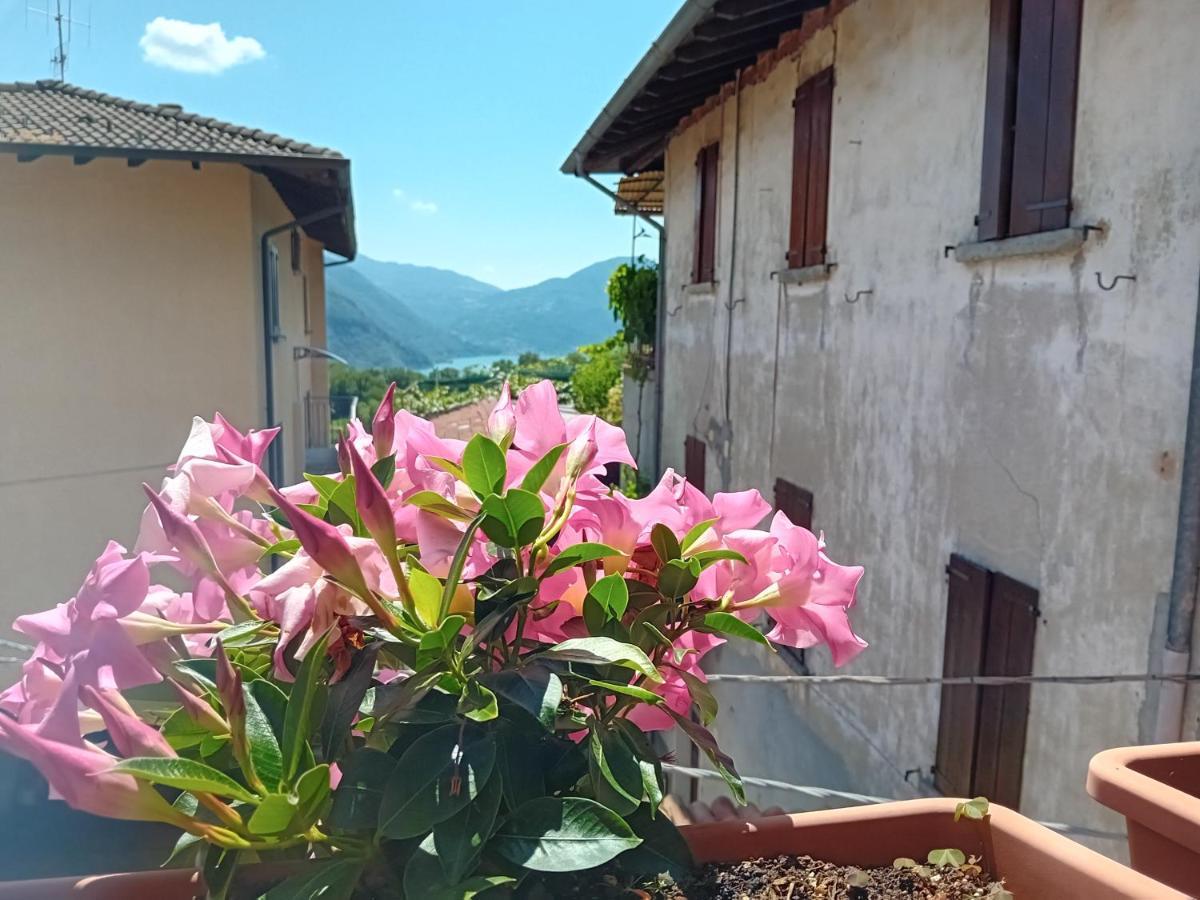Casa Di Ariel Villa Carlazzo Eksteriør bilde